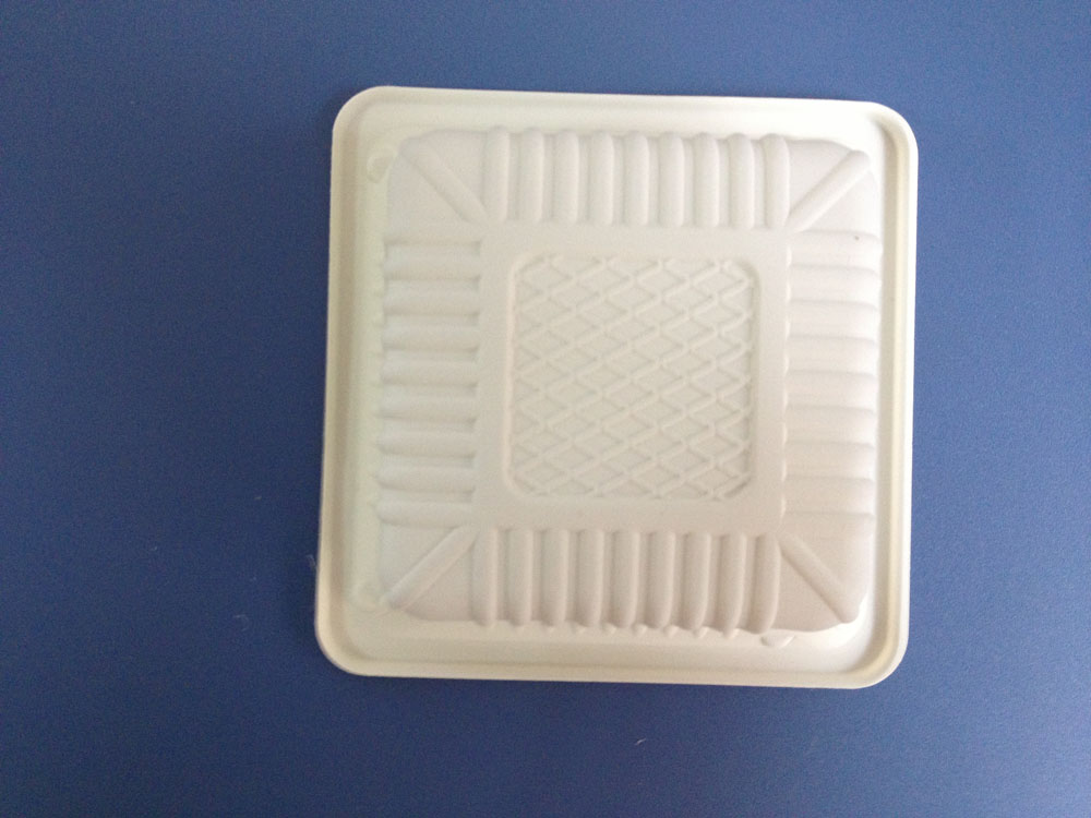 Biodegradable Food Container